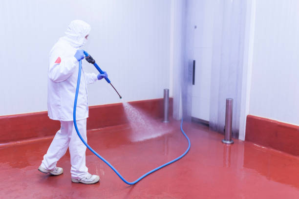 Best Soft Washing for Delicate Surfaces in Greenville, TX